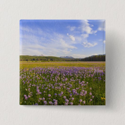 Wildblume von Penstemon im 2. Button (Vorderseite)