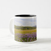 Wildblume von Penstemon im 2. Zweifarbige Tasse (Vorderseite Links)