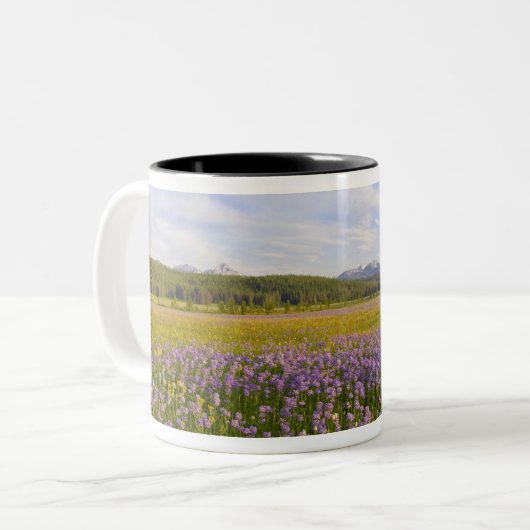 Wildblume von Penstemon im 2. Zweifarbige Tasse (Vorderseite Links)