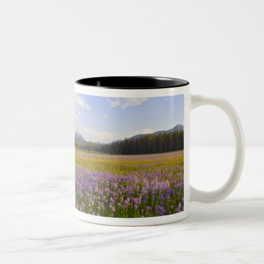 Wildblume von Penstemon im 2. Zweifarbige Tasse (Rechts)