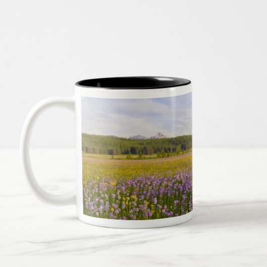 Wildblume von Penstemon im 2. Zweifarbige Tasse (Links)