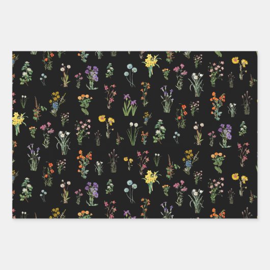 Wildblume Wasserfarbe Schwarzer Botanischer Flor Geschenkpapier Set (Vorderseite 3)
