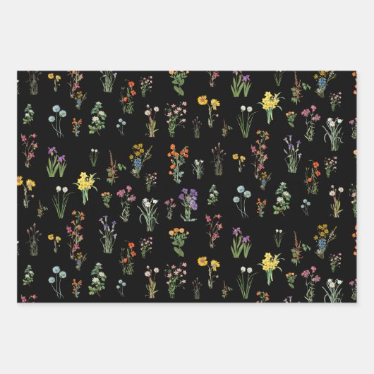 Wildblume Wasserfarbe Schwarzer Botanischer Flor Geschenkpapier Set (Vorderseite 2)