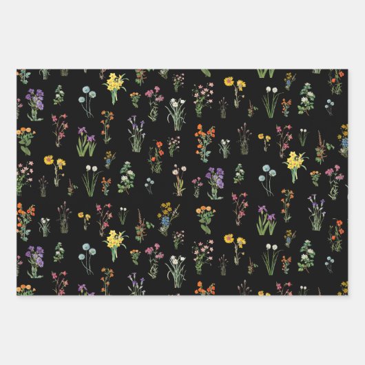 Wildblume Wasserfarbe Schwarzer Botanischer Flor Geschenkpapier Set (Vorderseite)