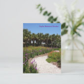 Wildblume Wiese Neapel Botanischer Garten Florida Postkarte (Stehend Vorderseite)