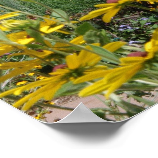 Wildblume Wiese Panorama Poster (Ecke)