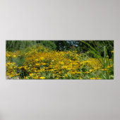 Wildblume Wiese Panorama Poster (Vorne)