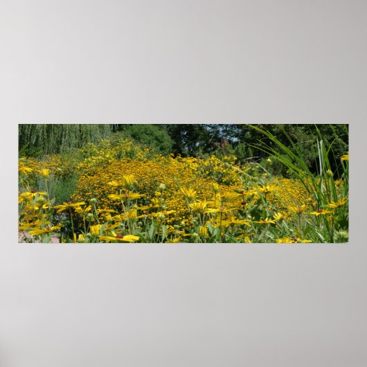 Wildblume Wiese Panorama Poster (Vorne)