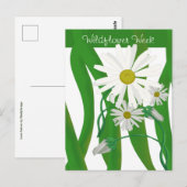 Wildblume Woche Daisy Postkarte (Vorne/Hinten)