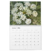 Wildblume-Zeichnungs-Kalender des Western-Co Kalender (Jan 2026)