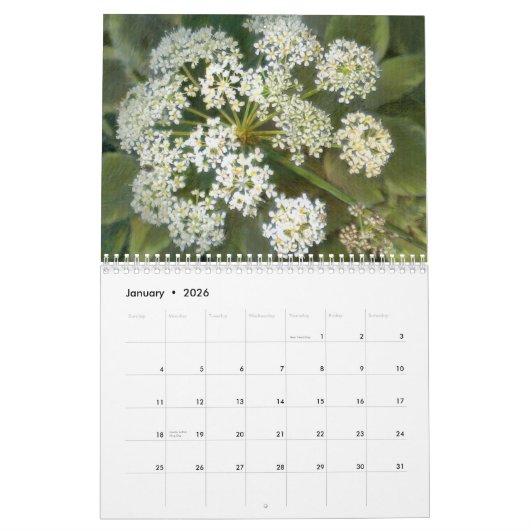 Wildblume-Zeichnungs-Kalender des Western-Co Kalender (Jan 2026)