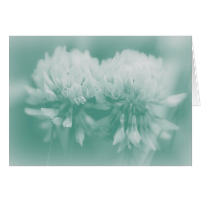 Wildblumen (Vorderseite (Horizontal))