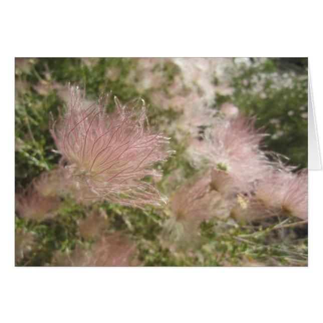 Wildblumen (Vorderseite (Horizontal))