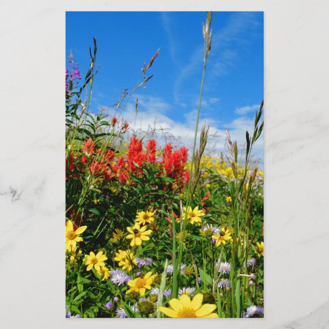 Wildblumen (Vorderseite)
