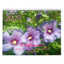 Wildblumen 2020 Kalender