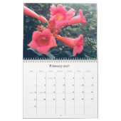 Wildblumen 2020 Kalender (Feb 2027)