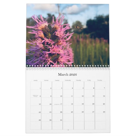 Wildblumen 2020 Kalender (Mär 2026)