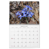 Wildblumen 2 Kalender (Mär 2027)