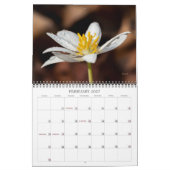 Wildblumen 2 Kalender (Feb 2027)