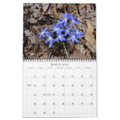 Wildblumen 2 Kalender (Mär 2026)