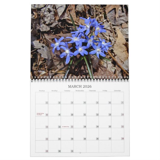 Wildblumen 2 Kalender (Mär 2026)