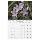 Wildblumen 2 Kalender (Jan 2026)