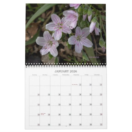 Wildblumen 2 Kalender (Jan 2026)