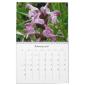 Wildblumen 2 von Unalaska Insel Kalender (Feb 2027)