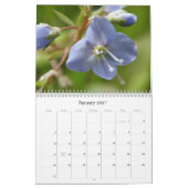 Wildblumen 2 von Unalaska Insel Kalender (Jan 2027)