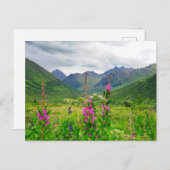 Wildblumen Alaskan Valley Postkarte (Vorne/Hinten)
