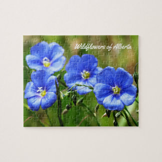 Wildblumen Alberta, Kanada - Naturschutzgebiet Puzzle