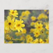 Wildblumen am Berg von JerseyFawn Postkarte (Vorderseite)