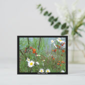 Wildblumen am Glacier Postkarte (Stehend Vorderseite)