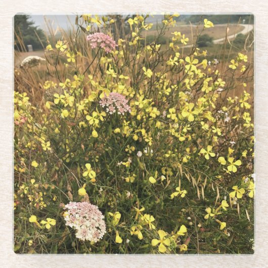 Wildblumen am Kap Blanco, Küste von Oregon Glasuntersetzer (Vorderseite)