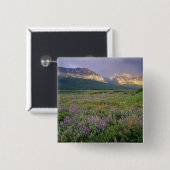 Wildblumen am Sherbourne-See in Prairie Button (Vorne & Hinten)
