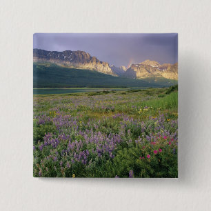 Wildblumen am Sherbourne-See in Prairie Button