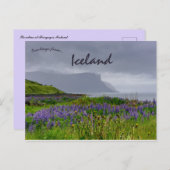 Wildblumen an der Küste von Thingeyri Island Postkarte (Vorne/Hinten)