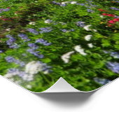 Wildblumen auf dem Rainier Poster (Ecke)