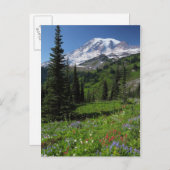 Wildblumen auf dem Rainier Postkarte (Vorne/Hinten)