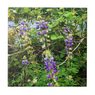 Wildblumen auf dem Weg, Oregon Fliese