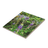 Wildblumen auf dem Weg, Oregon Fliese (Seite)