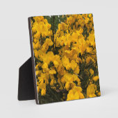 Wildblumen auf dem Weg, Oregon Fotoplatte (Vorderseite)