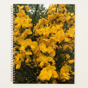 Wildblumen auf dem Weg, Oregon Planer