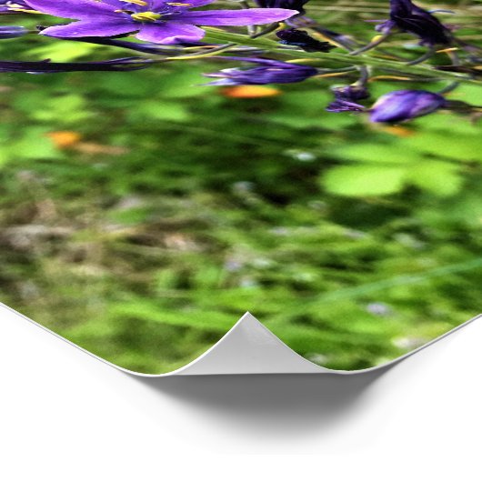 Wildblumen auf dem Weg, Oregon Poster (Ecke)