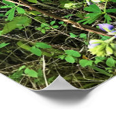 Wildblumen auf dem Weg, Oregon Poster (Ecke)