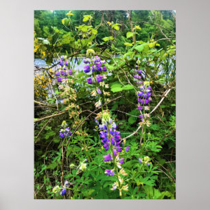 Wildblumen auf dem Weg, Oregon Poster