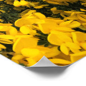 Wildblumen auf dem Weg, Oregon Poster (Ecke)