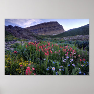 Wildblumen auf der Hochgebirgswiese - Utah Poster