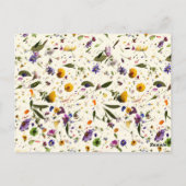 Wildblumen Baby Showspiel Postkarte (Rückseite)