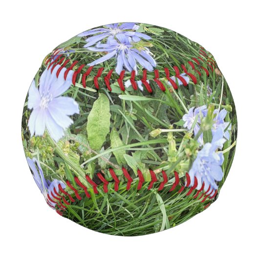 Wildblumen Baseball (Rückseite)